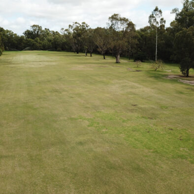 Fairway
