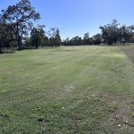 8th fairway dogleg left