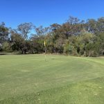 Green with trees over the back