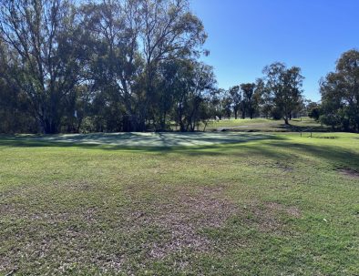 OOB is lurking over the back