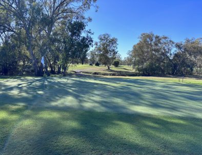 Approach to the green