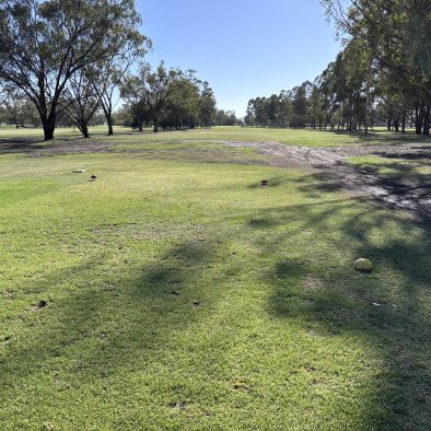 12th Tee