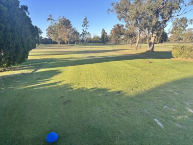 14th Tee