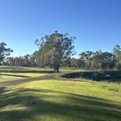 12th Blue Tees
