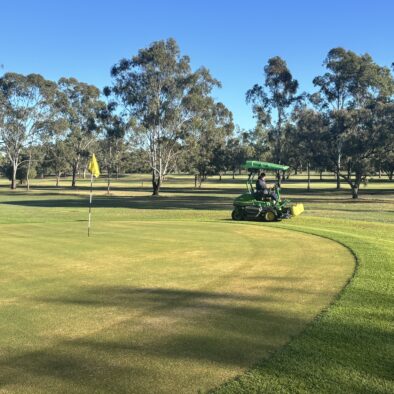 12th Green Mower in Action