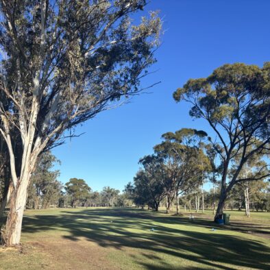 11th Tee