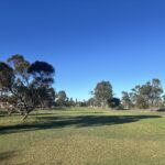 15th Fairway Approach