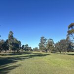 15th Fairway